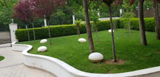 ea_20190429_133534_0_