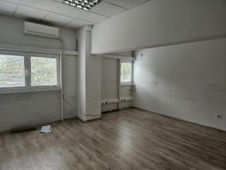 ea_20241003_143640_800x600